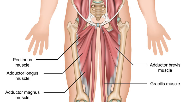 groin tendonitis